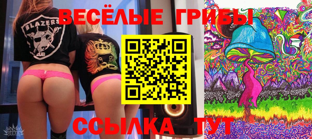 Ефремов  Псилоцибиновые грибы MAGIC MUSHROOMS  Вход с VPN 