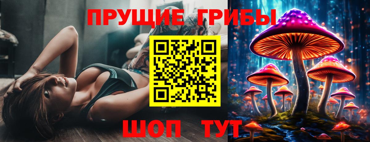 Псилоцибиновые грибы прущие грибы Ефремов